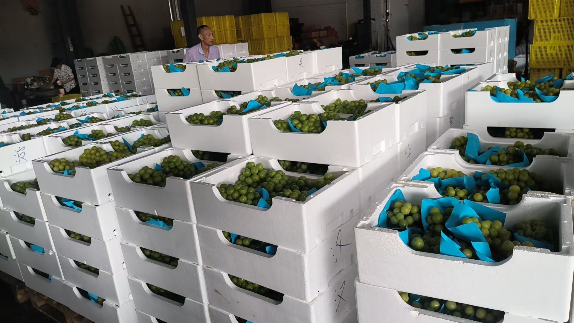恩施土家族苗族自治州社区团购